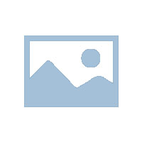 星港集團星靈V1機器人亮相首屆世界人形機器人運動會